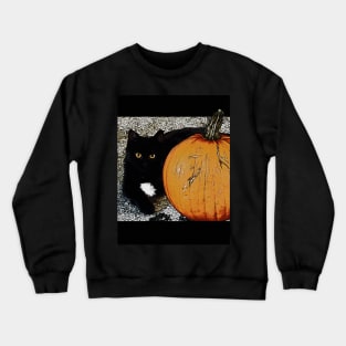 Little Pumpkin - Halloween Kitty Crewneck Sweatshirt